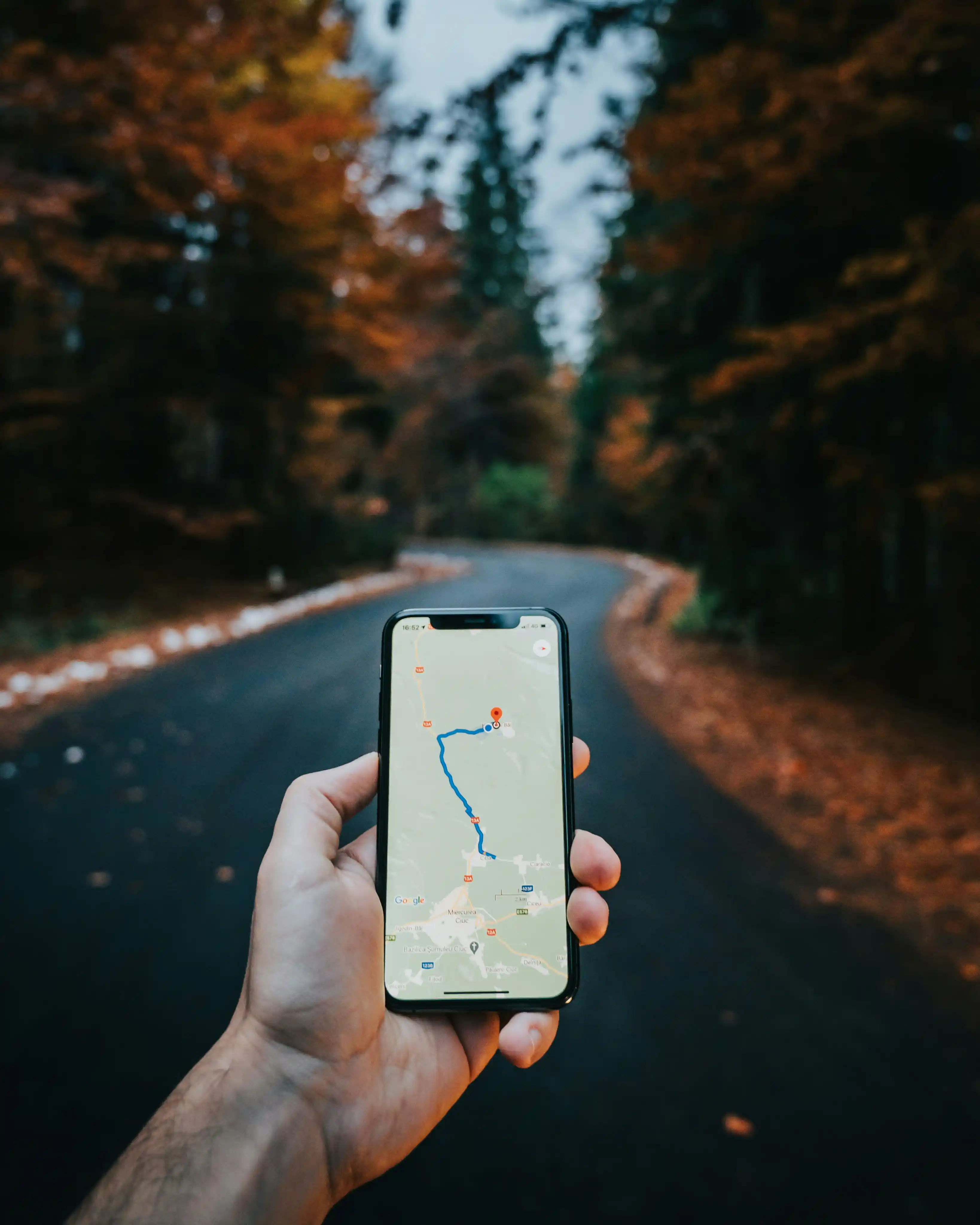 Person holding a phone with navigation on a forest road